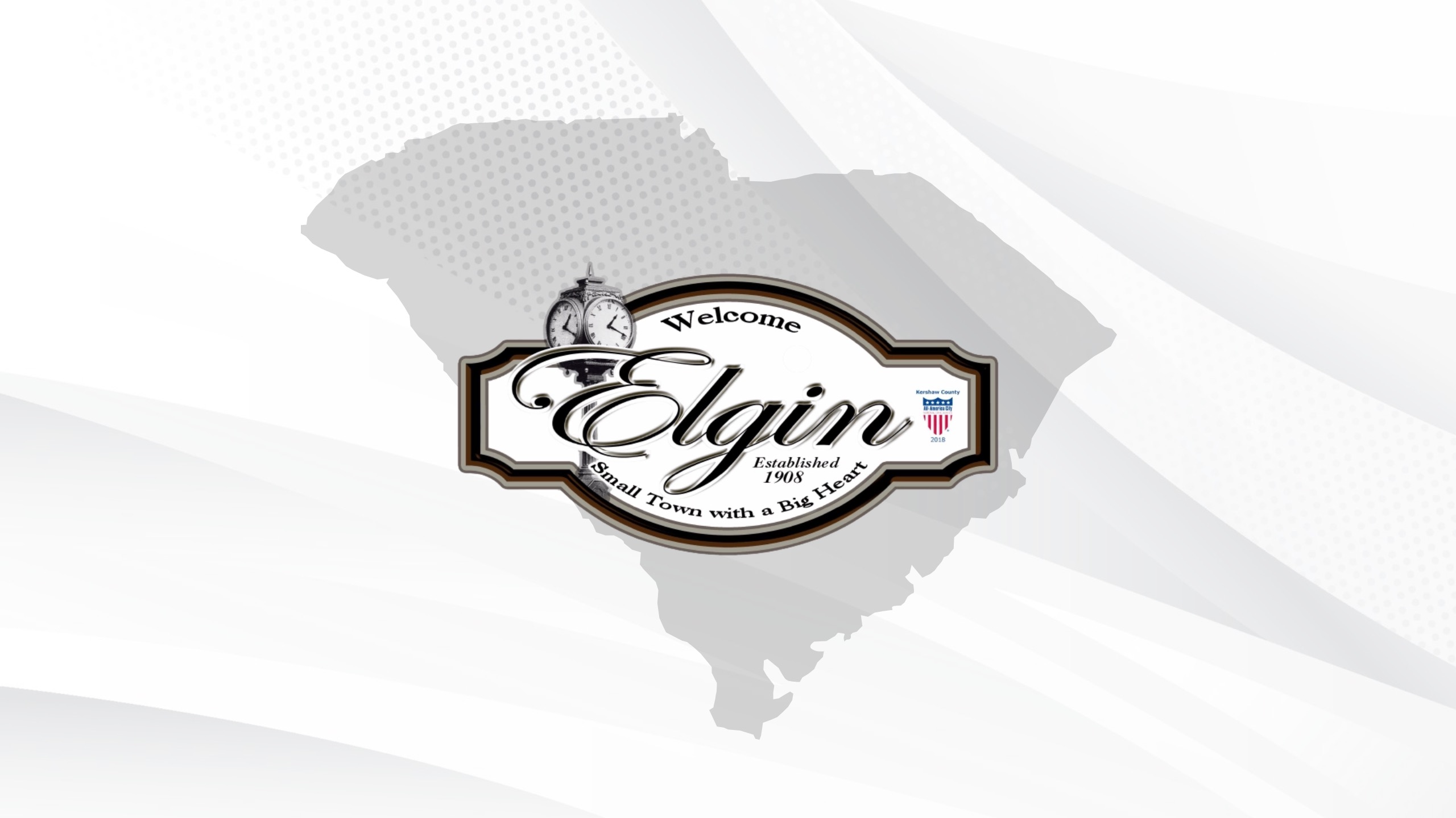 Elgin, SC logo over graphic of state map